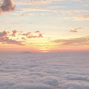 军阀囚禁乖腿打开h
