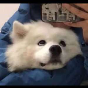 军阀囚禁乖腿打开h
